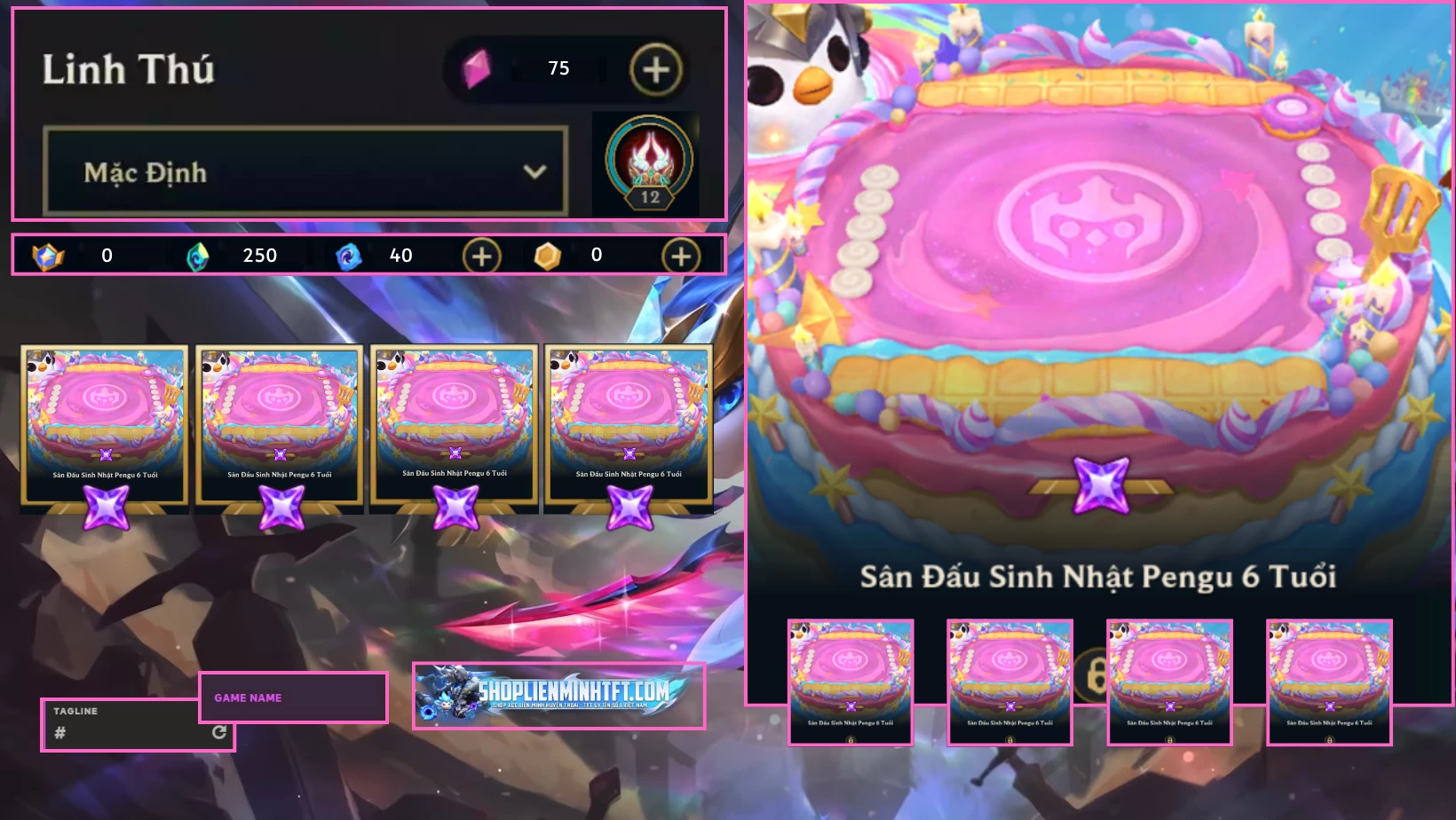 SÂN ĐẤU SINH NHẬT PENGU 6 TUỔI ACC CLONE